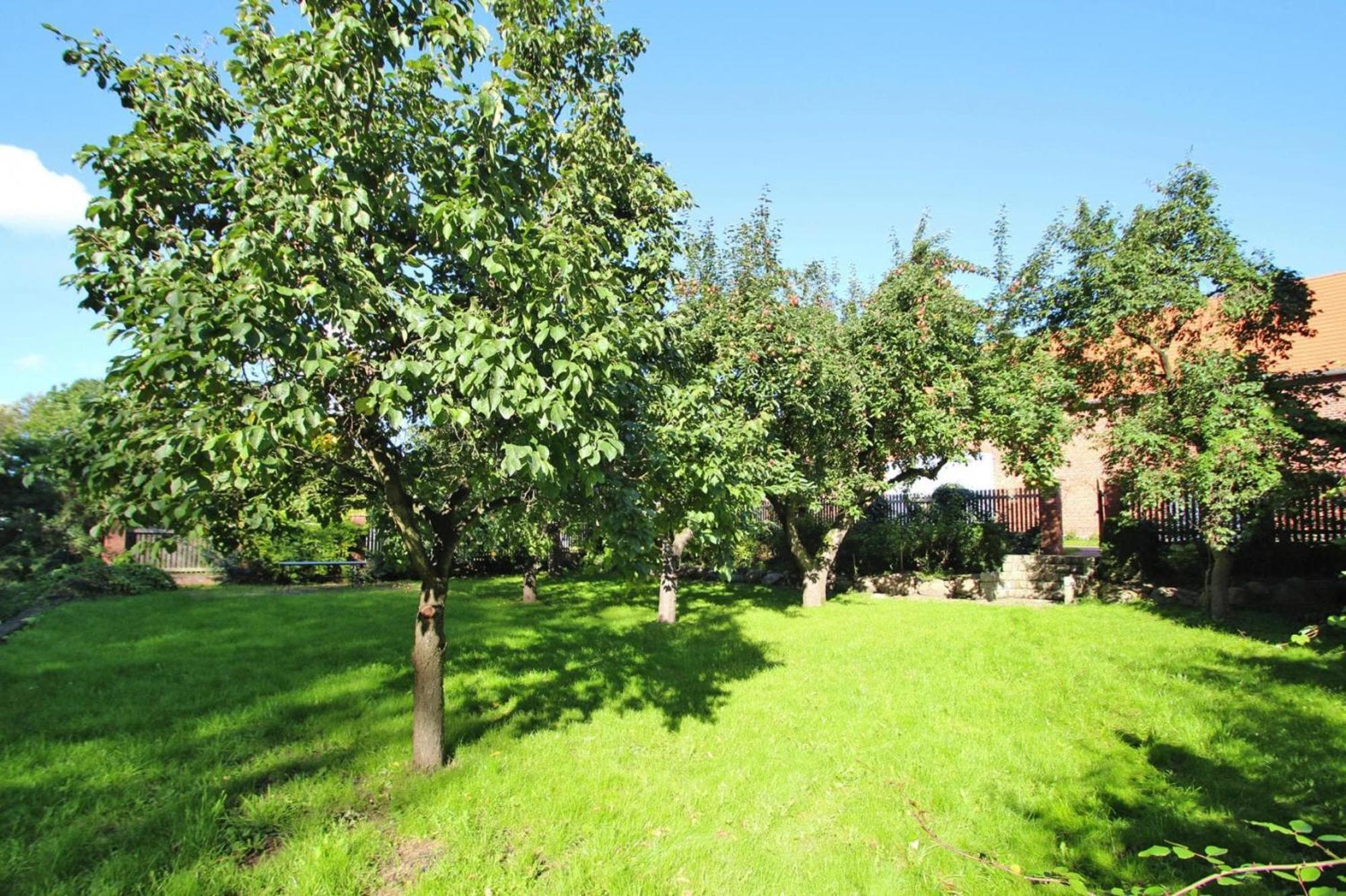 Ferienhaus Rosenhof In Lenzen المظهر الخارجي الصورة